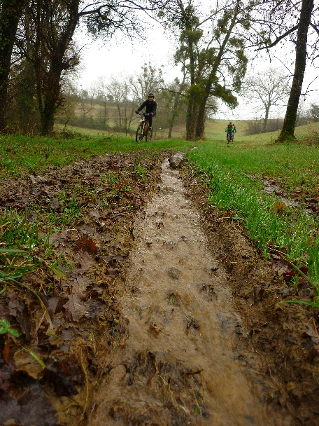 Chemin ou ruisseau?