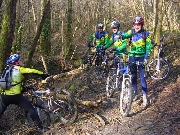 Cliquez pour agrandir la photo : Entre les arbres