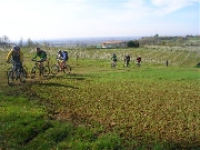 Cliquez pour agrandir la photo : Montée dans les vergers