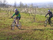 Cliquez pour agrandir la photo : Presque en haut