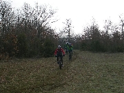 Cliquez pour agrandir la photo : Sortie du bois