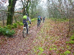 Cliquez pour agrandir la photo : Vers Le Bosc