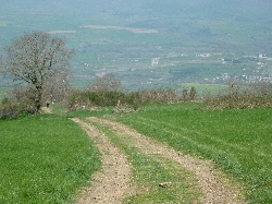 Voir le détail de la photo