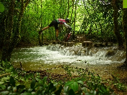 Cliquez pour agrandir la photo : Au fil de l'eau...