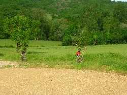 Cliquez pour agrandir la photo : Verte campagne.