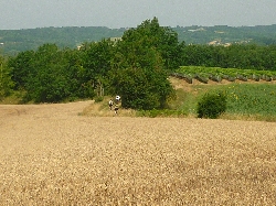 Cliquez pour agrandir la photo : Du pain, du vin et un peu de vtt...