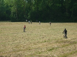 Voir nos albums photos