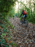 Cliquez pour agrandir la photo : Descente sur Livron.