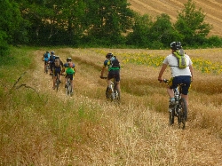 Cliquez pour agrandir la photo : Gentlemen farmer.