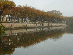 Cliquez pour agrandir la photo : Le long de l'Uvarium.