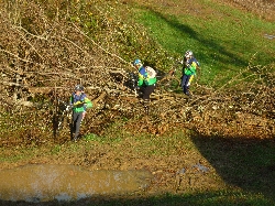 Cliquez pour agrandir la photo : Parcours d'obstacles.