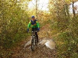 Cliquez pour agrandir la photo : L'heureux cycle des saisons.